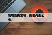 haha体育官方在线入口-姚明受伤离场，伤情尚未公布。